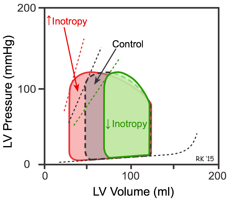 Inotropy effects on ventricular pressure-volume loops
